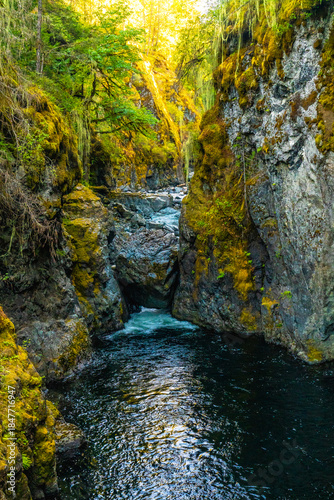 Englishman river falls flowing through lush green canyon on vancouver island