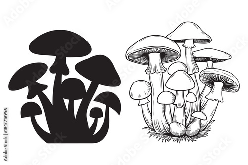 Cute Mushroom Vector Set with Hand Drawn Cartoon Fungi Illustration