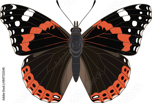 Detailed Butterfly Insect Graphic Design Isolated On A Solid Dark Grey Background