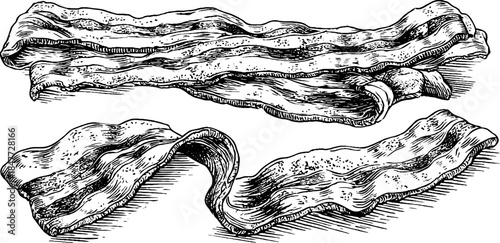 Vintage engraved bacon strips illustration set for retro culinary design