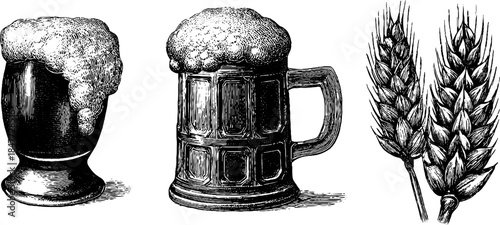 Vintage engraved beer mug and wheat illustration set for retro design