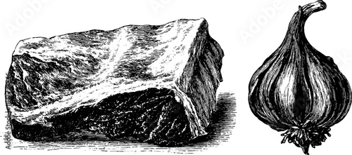 Vintage engraved illustration set of boneless meat and onion for culinary design