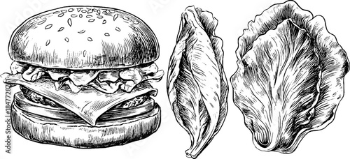 Vintage engraved burger illustration set with patty and lettuce – ideal for retro design and food labels