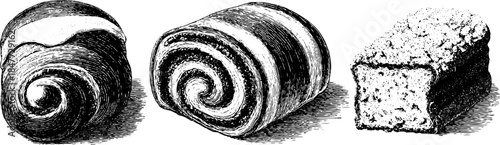 Vintage hand drawn engraving of cinnamon roll set - retro bakery dessert illustration