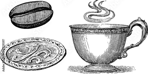 Vintage coffee bean and cup engraving - retro hand drawn sketch for cafe decor