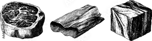 Vintage engraved meat cuts illustration set – three distinct fatty meat cuts for retro design