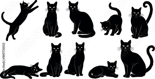Cute Cartoon DoCollection of ColBlack Cat Silhouettes Set in Various Poses for Halloween and Pet Design Vectororful Tropical Poison Dart Frogs and Exotic Amphibians Vector Seg Breeds Set Illustration 