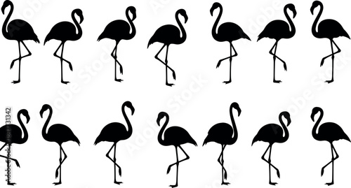 Flamingo silhouette puzzle, visual discrimination, black bird icon, standing flamingos, pattern recognition, minimal design, vector art, wildlife concept