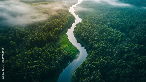 Aerial view of a winding river flowing through a dense green forest with morning mist