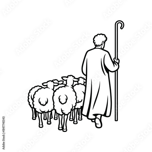 A shepherd leading his flock of sheep a classic pastoral scene