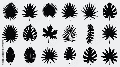 Collection of various leaf shapes and patterns in black silhouette style, perfect for design and illustration purposes
