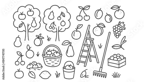 A collection of orchard fruits and harvesting tools are illustrated.