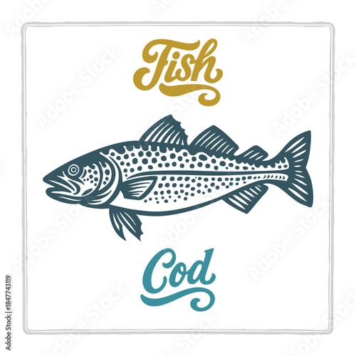 Hand drawn Cod fish illustration in vintage engraving style with fish lettering. Perfect for seafood design, restaurant branding, menus, labels, posters, and packaging. Part of set.