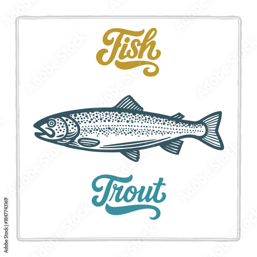 Hand drawn Trout fish illustration in vintage engraving style with fish lettering. Perfect for seafood design, restaurant branding, menus, labels, posters, and packaging. Part of set.