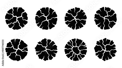 collection of black tree top view icons representing natural elements