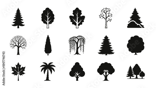 Collection of diverse black tree icons for graphic design and nature illustration purposes