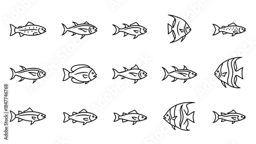 Collection of diverse outlined fish illustrations in a pattern