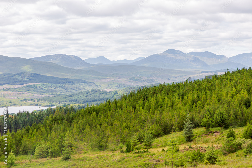 Fototapeta premium Isle of Skye, Scotland - Tranquil mountain landscape with forest, lake, and rolling hills under cloudy sky