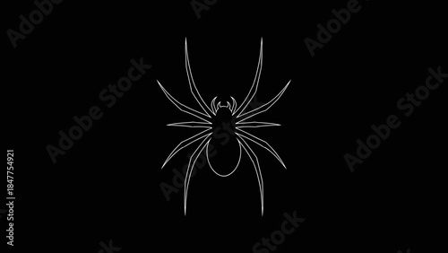 Black widow spider silhouette on black.