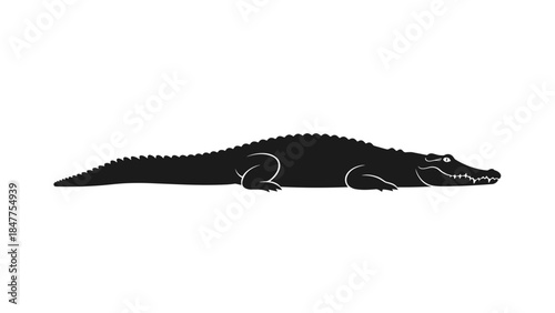 Crocodile Silhouette Profile Side View Illustration.