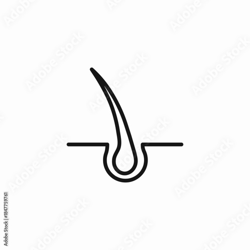 healthy hair follicle icon sign vector