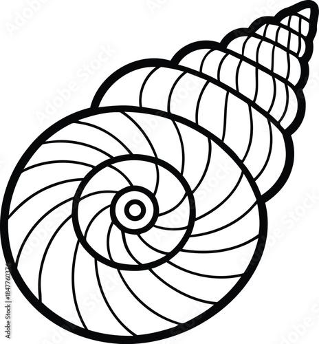 Elegant monochrome vector illustration of a spiral seashell, depicting the intricate logarithmic curve and geometric patterns found in marine life, perfect for nature-inspired designs