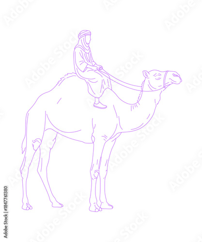 Egyptian Riding a Camel Lineart Illustration