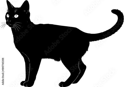Black Cat Silhouette Halloween Mystery Vector Design