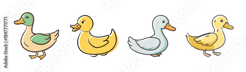 A delightful row of various cartoon ducks featuring different colors and styles