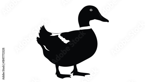 Black duck silhouette standing isolated on white background