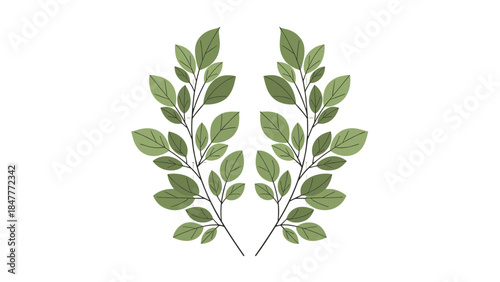Symmetrical Green Leaves Arrangement Isolated on Black Background, Elegant Botanical Design Element, Nature-Inspired Symmetry, Organic Decorative Motif for Websites and Presentations