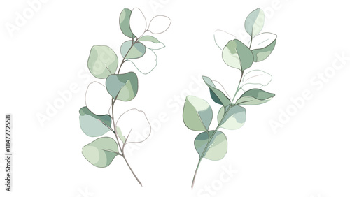 Serene Watercolor Artwork of Eucalyptus Stems with Soft Green Leaves, Perfect for Calm Decor and Natural Themed Graphics