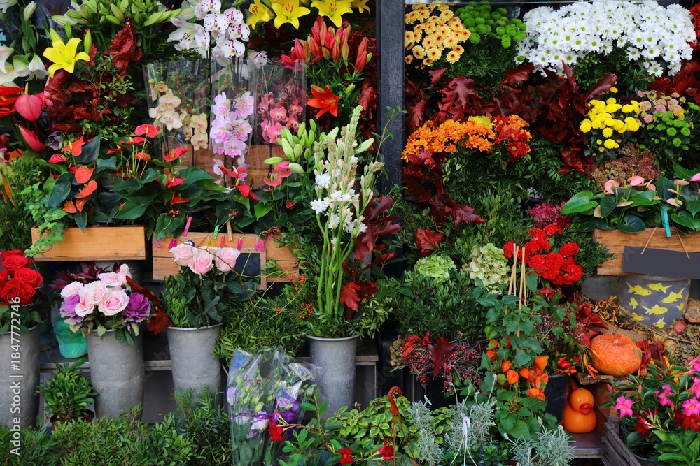 Naklejka premium Florist shop in Rambla street, Barcelona. Flower shop choice with anthurium and chrysantemums.