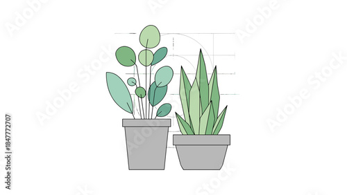 Stylized illustration of two potted houseplants, featuring a succulent and a leafy plant with geometric background elements for botanical study and home decor inspiration.