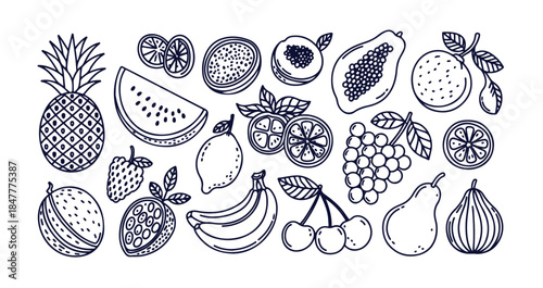Variety of hand drawn fruit icons on white background illustration for natural food design