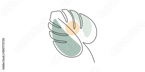 Minimalist line art illustration of a Monstera plant leaf.  Unbroken single line art Monstera leaf vector illustration
