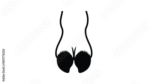 Black silhouette of a women's bra on , minimalist design isolated on white background