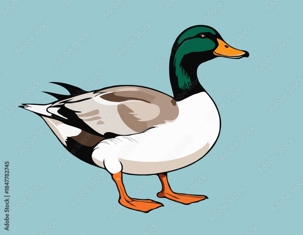 Obraz premium duck, goose in illustration in brush stroke painting,