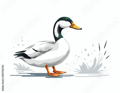 duck, goose in illustration in brush stroke painting,
