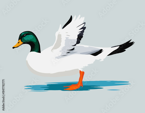 duck, goose in illustration in brush stroke painting,