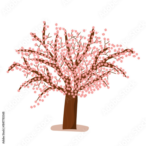 Plum tree blooming in spring flat vector illustration, blossom brach with red petals