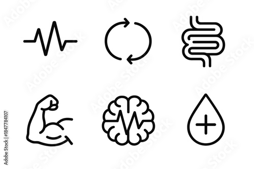 Vital Function Icons. Vital Function Symbols linear set: pulse wave, breathing cycle, digestive tract shape, muscle tone icon, brain signal, fluid balance drop.