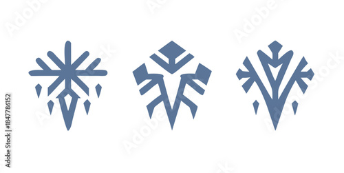 Three unique snowflake designs