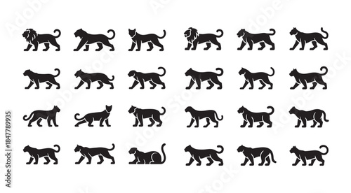 Big cats vector icon set, black panthers, lions, leopards, jaguars, tigers silhouettes collection