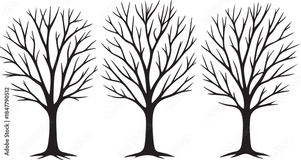 Fototapeta premium Three bare trees silhouette vector illustration, winter, nature