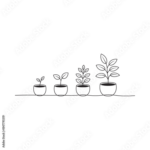 A simple illustration showing the stages of plant growth from seed to maturity