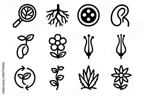 Botanical Icons Exploration. Plant Discovery Journey linear set: magnified leaf vein, root network, stem cross-cut, seed embryo, germination stage, floral structure, stamen detail,