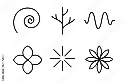Geometric Nature Icons. Natural Algorithm Motifs linear set: spiral recursion shell, branching tree map, wave-based signal, iterative petal form, convergence seed icon, divergence