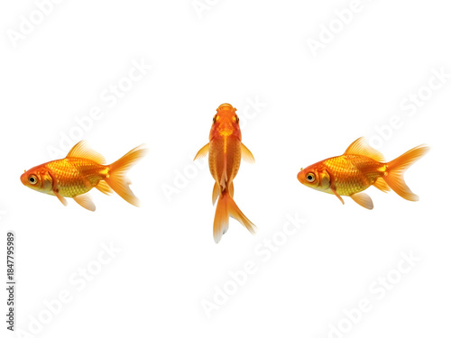 Three Pixel Goldfish. Golden 8-Bit Aquatic Life on Black. Retro Digital Art. on white background