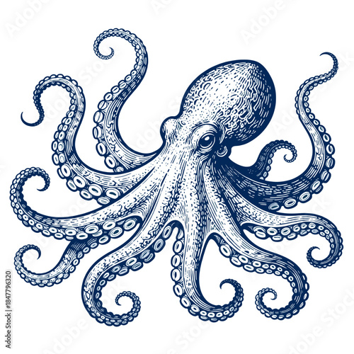 [Vector EPS]Vintage-style blue octopus illustration with detailed tentacles